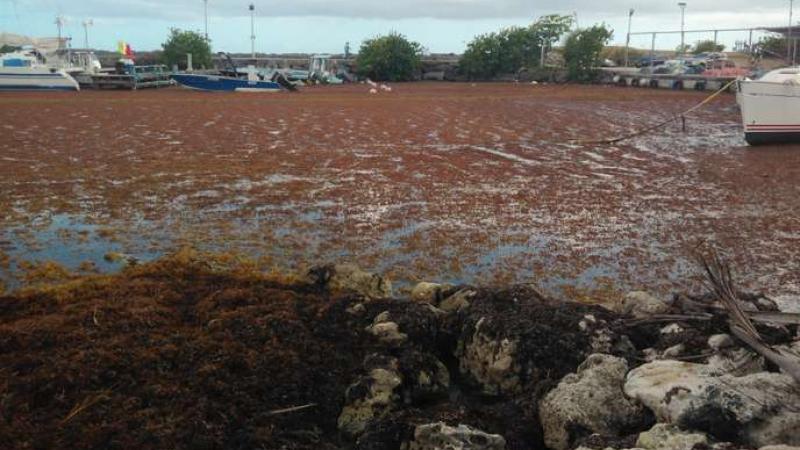Un rapport s’alarme de « la dégradation généralisée » des masses d’eau en Guadeloupe