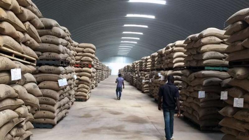 Cacao : le Ghana et la Côte d’Ivoire adoptent un nouveau mécanisme de fixation des prix
