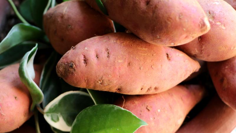 Henry Joseph : "La patate douce a démontré ses vertus santé"