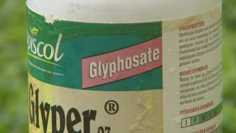 Chlordécone + glyphosate, un cocktail explosif dont nos députés se contrefoutent !