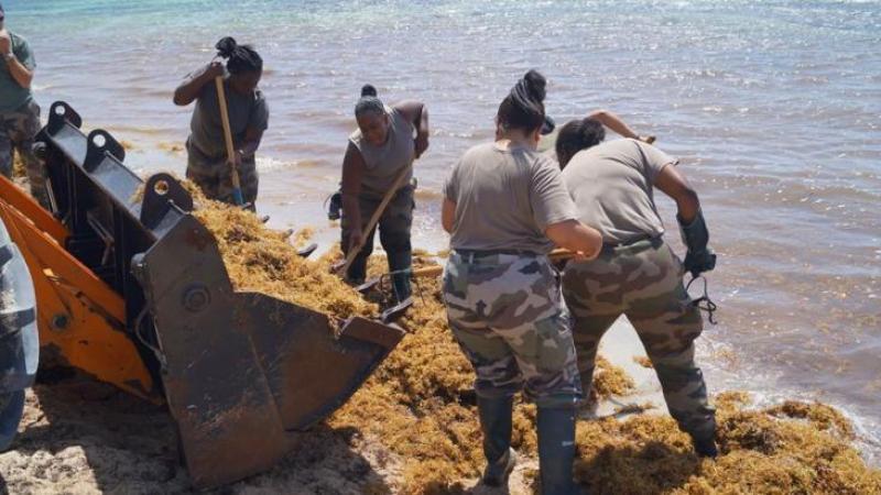C'est le RSMA-Martinique qui a nettoyé les plages de Saint-Anne