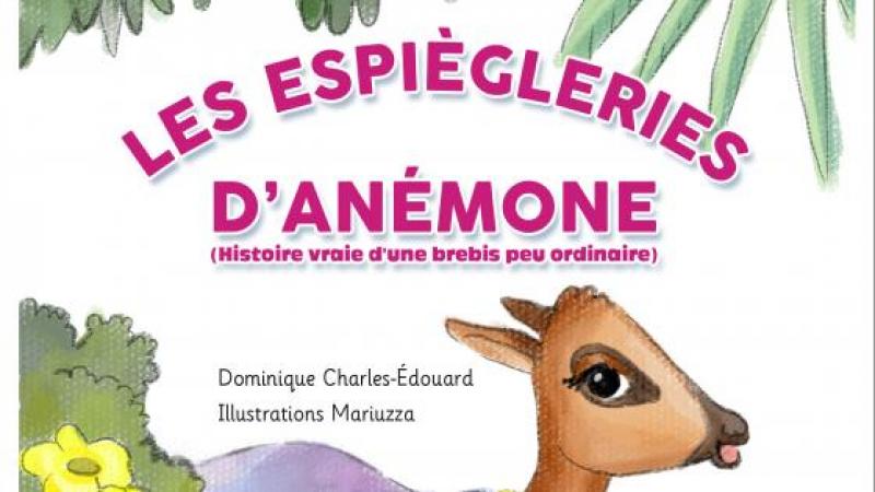 "LES ESPIÈGLERIES D’ANÉMONE"