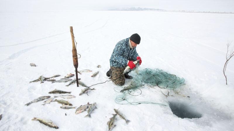 La mer d'Aral que l'on croyait morte est revenue à la vie