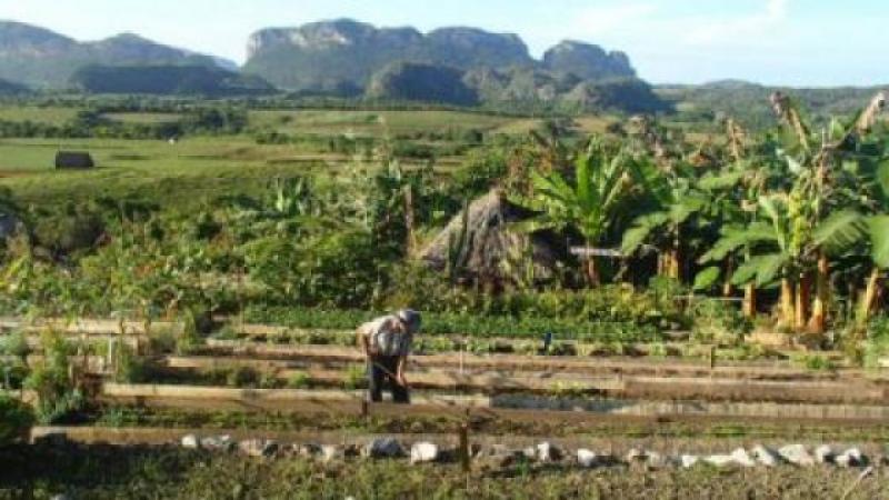 CUBA, LE PAYS OU L’AGROECOLOGIE EST VRAIMENT APPLIQUEE