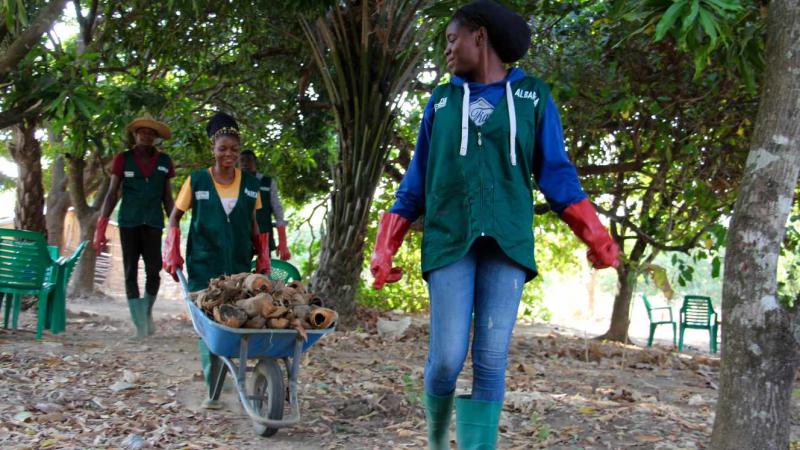 Au Togo, l’essor de fermes-écoles pour former les patrons de l’agroécologie de demain