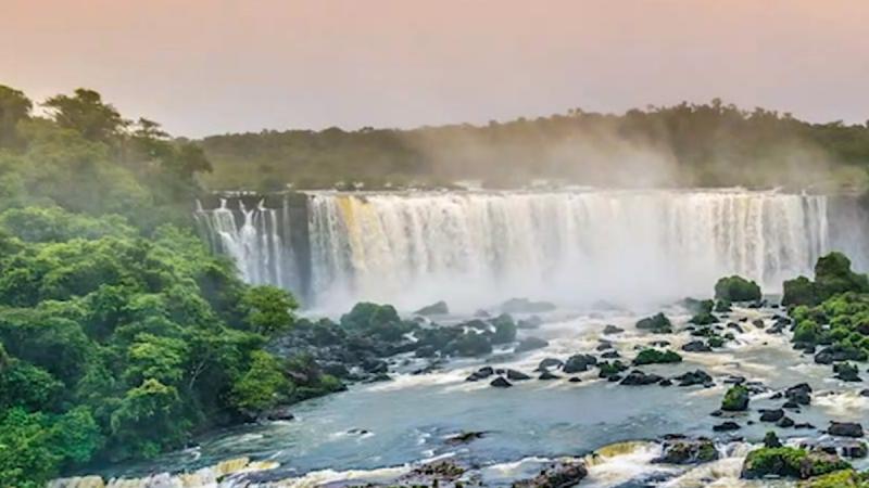 Jugée « non productive », la forêt amazonienne va être dévastée par le Brésil pour être urbanisée