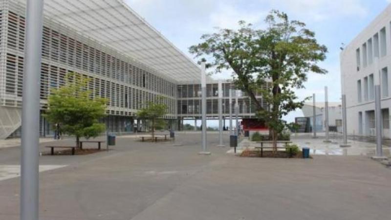 Université des Antilles: cette histoire de primaire, de quoi déprimer !