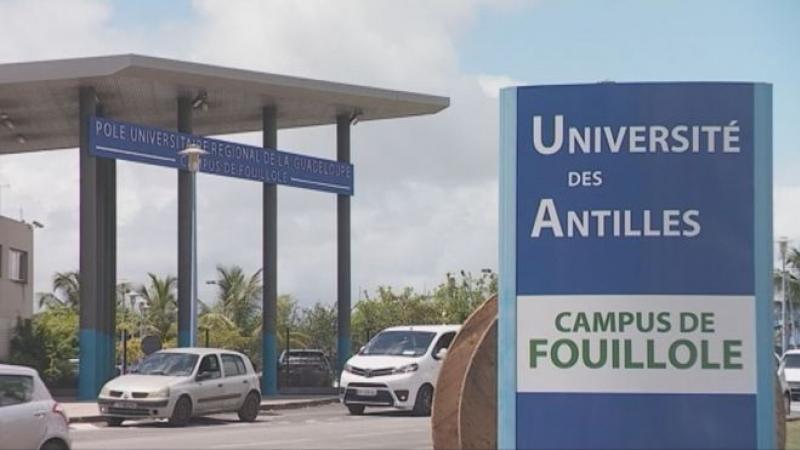 Université des Antilles : la coupe est pleine !