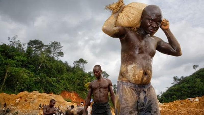 Guyanes : les conséquences écologiques désastreuses de la ruée vers l'or