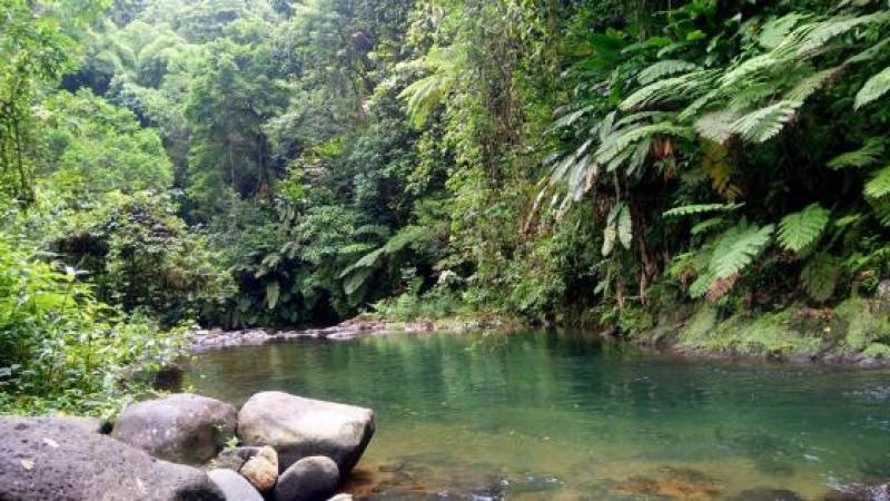 Mettre fin à l'imposture du prétendu indépendantisme en Martinique