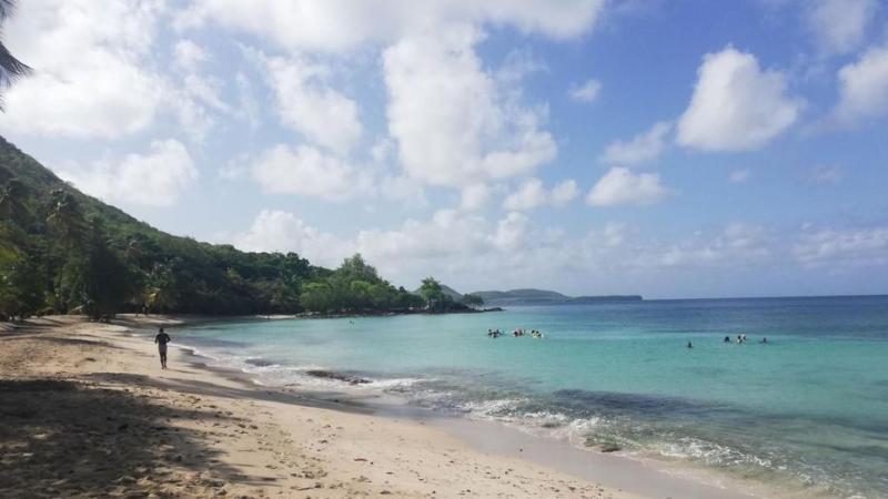 La Martinique impose un isolement de 7 jours à tous les voyageurs