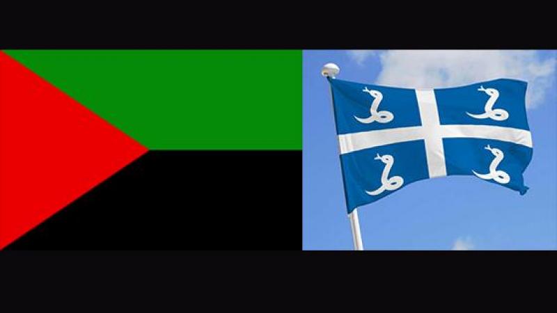 Le drapeau rouge-vert-noir en Martinique : un emblème national ?