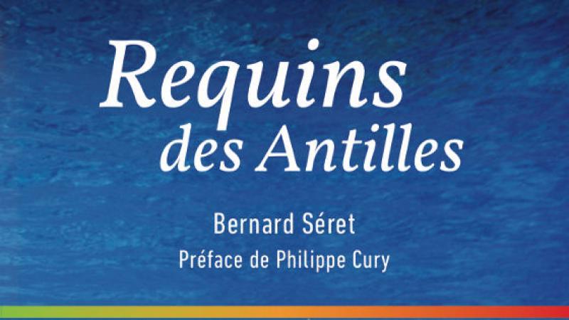 Requins des Antilles