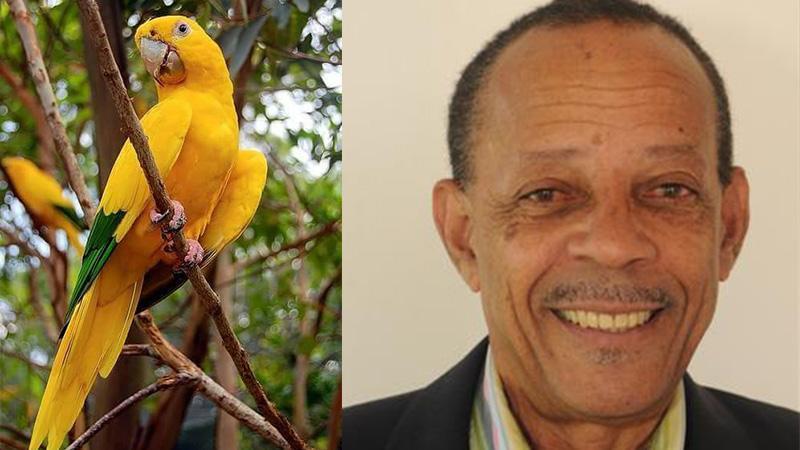 Affaire Yellow Parrot (ou SODEM) : Jean Crusol n'a pas le droit de botter en touche !
