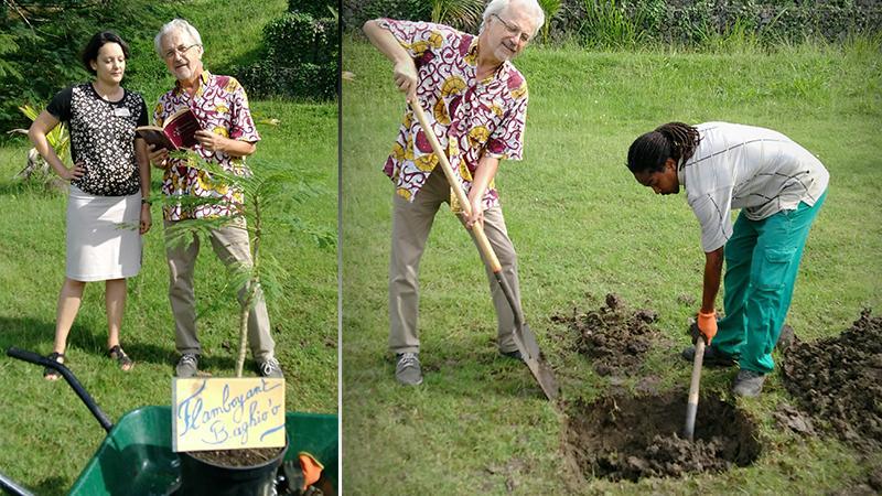 Le « Flamboyant Baghio'o » enfin planté à l'entrée du Campus de Schoelcher