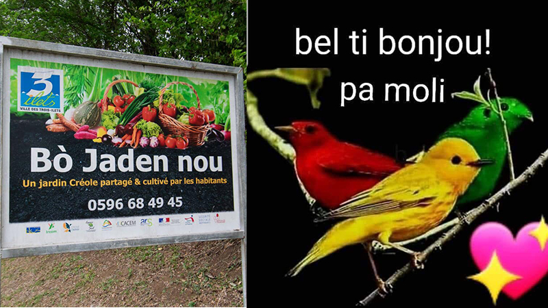 45 Jpg Montray Kreyol