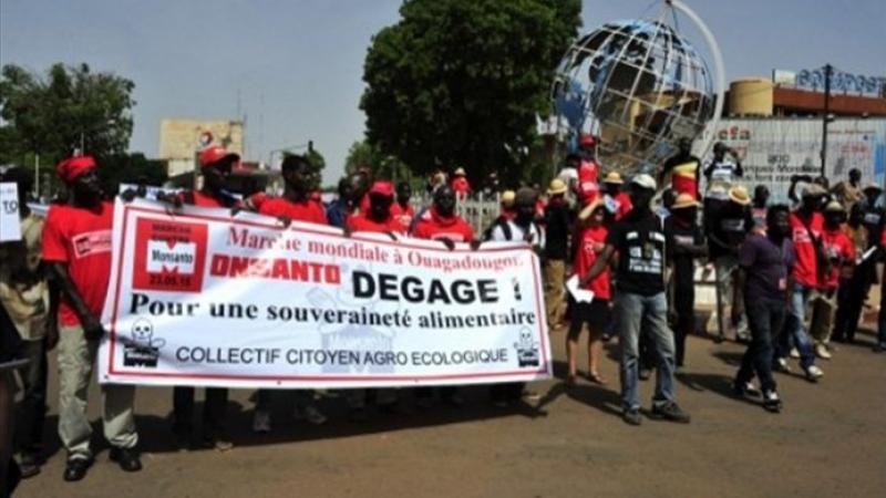 Le Burkina Faso dit « Non » au coton OGM de Monsanto et fait une super récolte