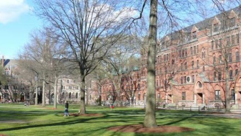L’impitoyable univers de l’« Ivy League », les huit meilleures universités américaines