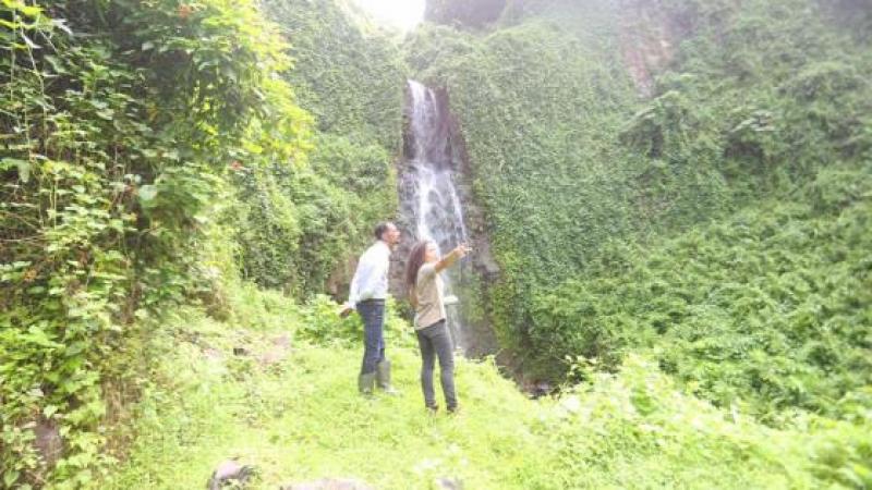 Le Parc Naturel Régional de la Martinique va restaurer l'ancien Jardin des Plantes de Saint-Pierre