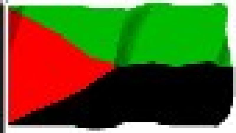 Le drapeau Rouge vert noir adopté en plénière : Pourquoi, quoi, comment ? -  ANTILLA MARTINIQUE