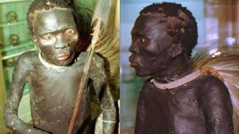 Le corps humain empaillé d’un guerrier Africain exposé au musée en europe tel un « animal sauvage »