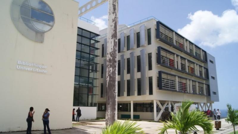 Université des Antilles : l'autonomie du Pôle Martinique à nouveau bafouée