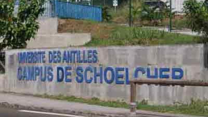 Manœuvres en vue de créer une université de la Martinique ?