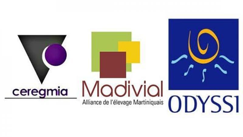 Madivial, Ceregmia and Co : à pleines dents dans le fromage des fonds européens