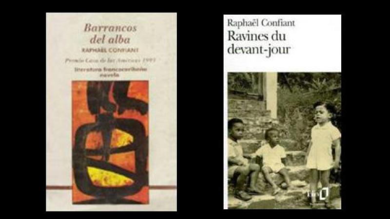 Una mirada revolucionaria sobre la violencia en la literatura de las Antillas francesas