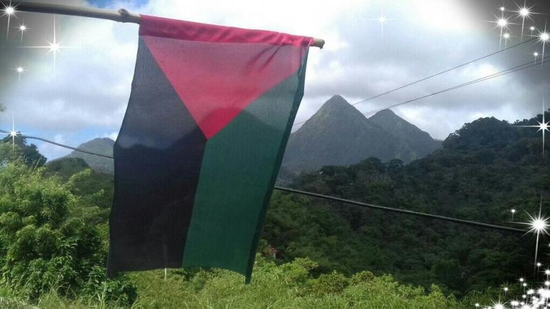 La Martinique ne mérite qu'un drapeau provincial (pour l'instant)