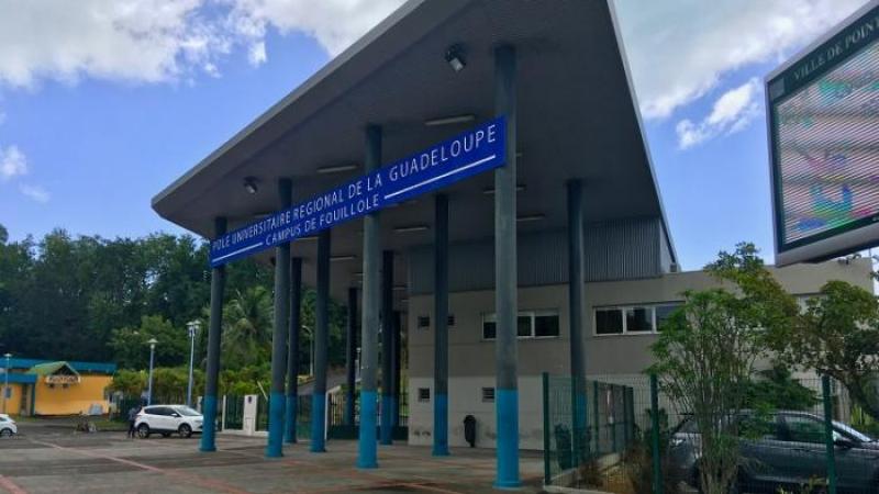 Université des Antilles : grève sur le Pôle Guadeloupe, pas sur le Pôle Martinique