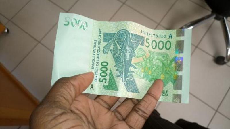 Le franc CFA ou la corde au cou des pays africains francophones