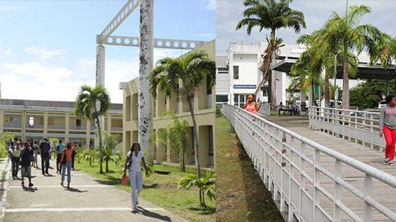 Université des Antilles : motion des agents non-titulaires