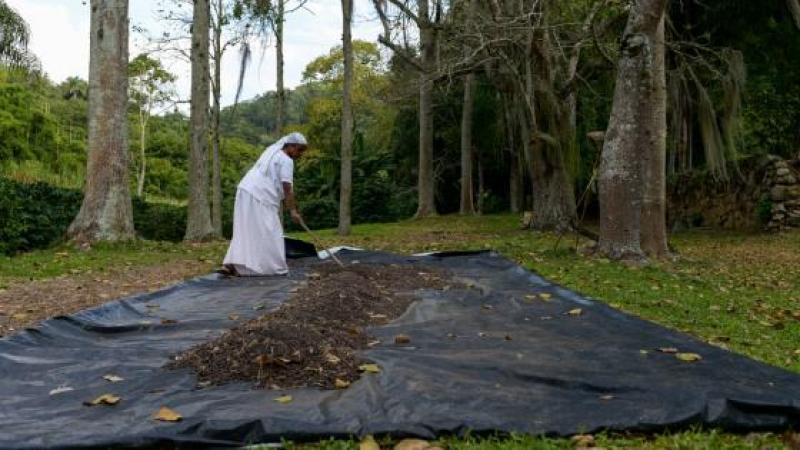 TOURISTS VISIT PLANTATION IN BRAZIL AND ARE SERVED BY BLACK “SLAVES”