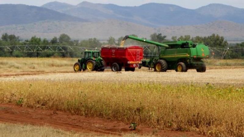 Land expropriation: Why South Africa won’t become a “second Zimbabwe”