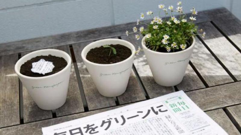 LE MAINICHI, L’UN DES PLUS GRANDS QUOTIDIENS JAPONAIS, FLEURIT QUAND ON LE PLANTE