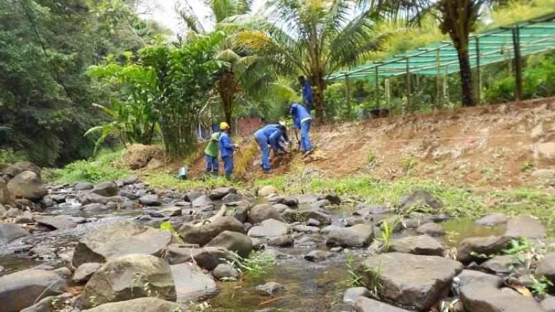 Parc Naturel de Martinique : Reprise des services depuis le 4 décembre 2017