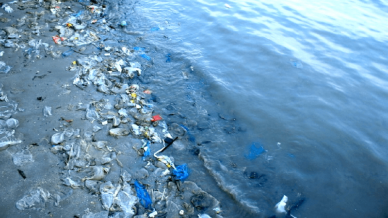 THESE 5 COUNTRIES ACCOUNT FOR 60% OF PLASTIC POLLUTION IN OCEANS