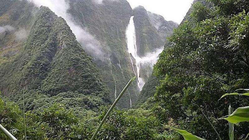 Parc National - Grosse inquiétude pour La Réunion patrimoine mondial de l'Unesco