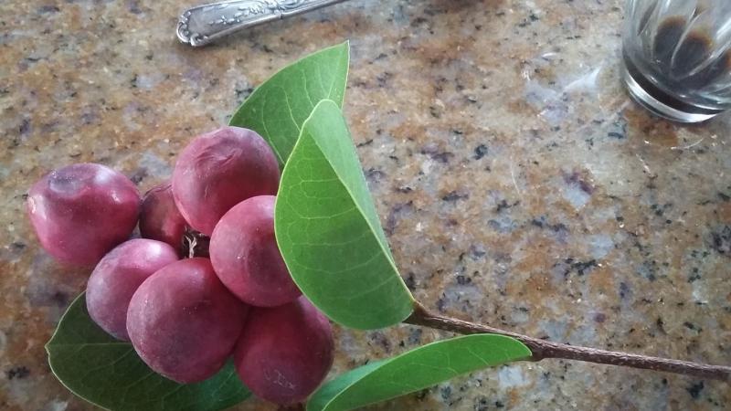 BALAN DOUSÈ'W ANNI FÈ TJÈ-MWEN CHALVIRÉ 